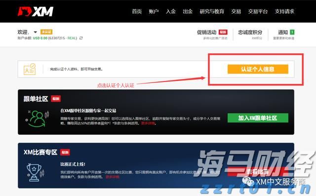 虚构电影投资项目募集亿元资金，徐某某被判刑