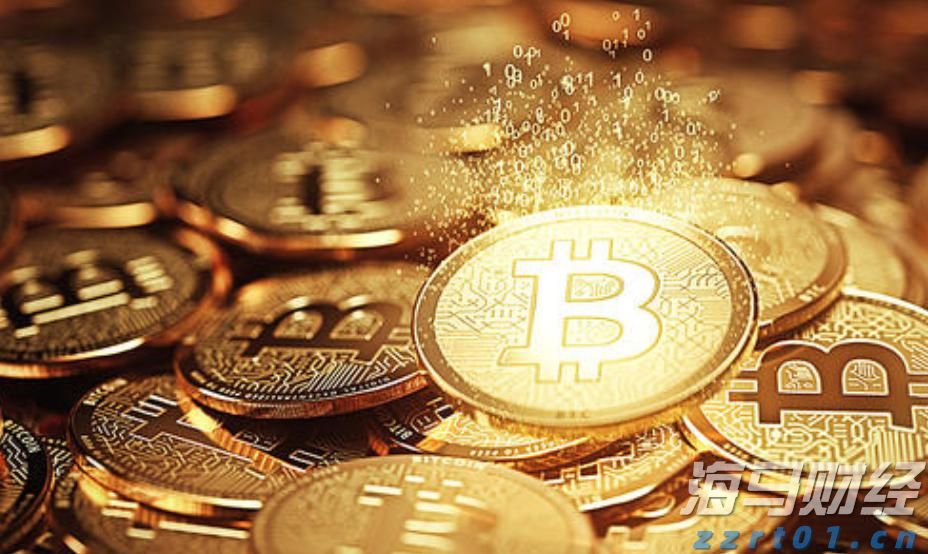 梅州海关供港澳活猪远程检疫监装模式正式启动