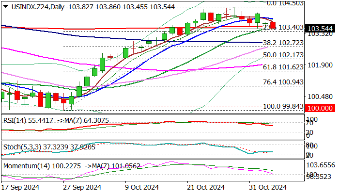 浔郁春光好 田间育苗忙